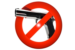 no-guns-allowed-sign_fJol-FSd_L.jpg